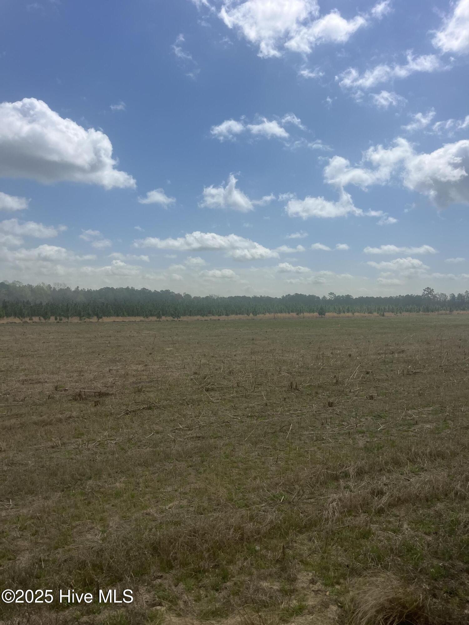 1711 Currie Mill Road Jackson Springs, NC 27281 - Photo 6 of 10 IMG_2183