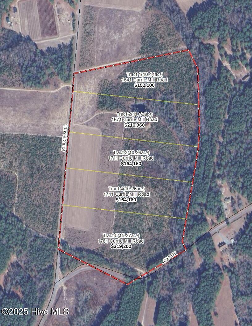 1711 Currie Mill Road Jackson Springs, NC 27281 - Photo 10 of 10 Aerial Map Currie Mill Rd Tracts