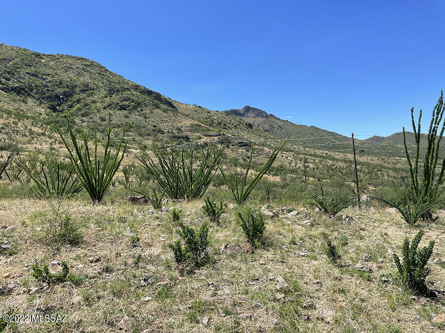 330 Dock Street, Unit 1 Rio Rico, AZ 85648 - Photo 2 of 7