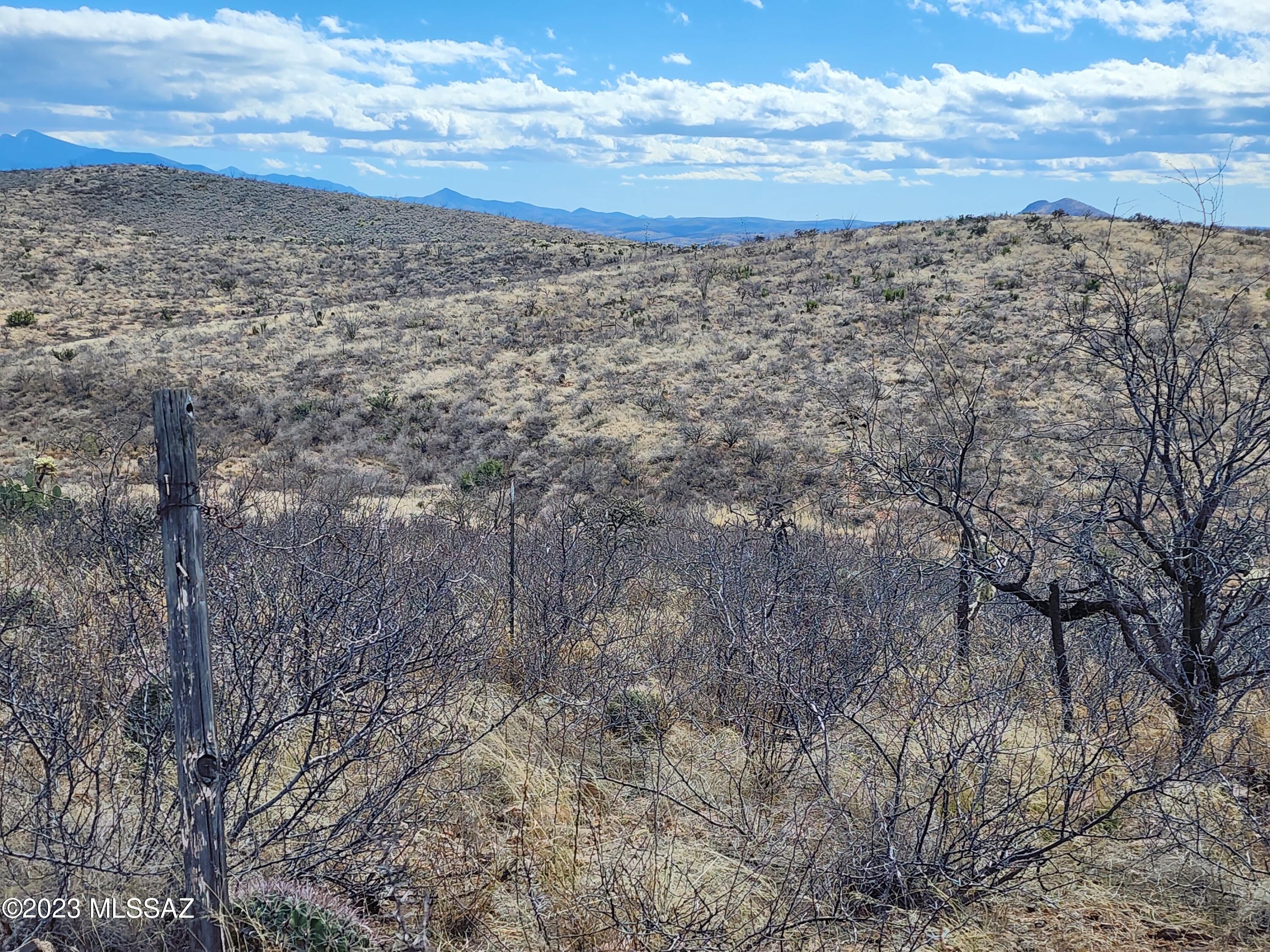 13791 South Bell Road Benson, AZ 85602 - Photo 7 of 39 Gallery Image 7