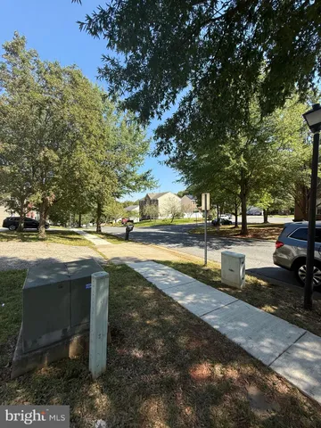 a view of a park with large trees