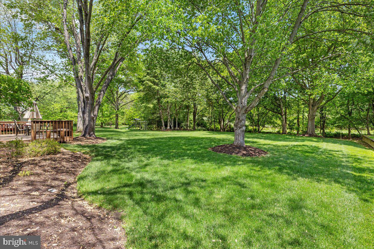 3 Strathmore Place Princeton Junction, NJ 08550 - Photo 27 of 29 a view of park with trees