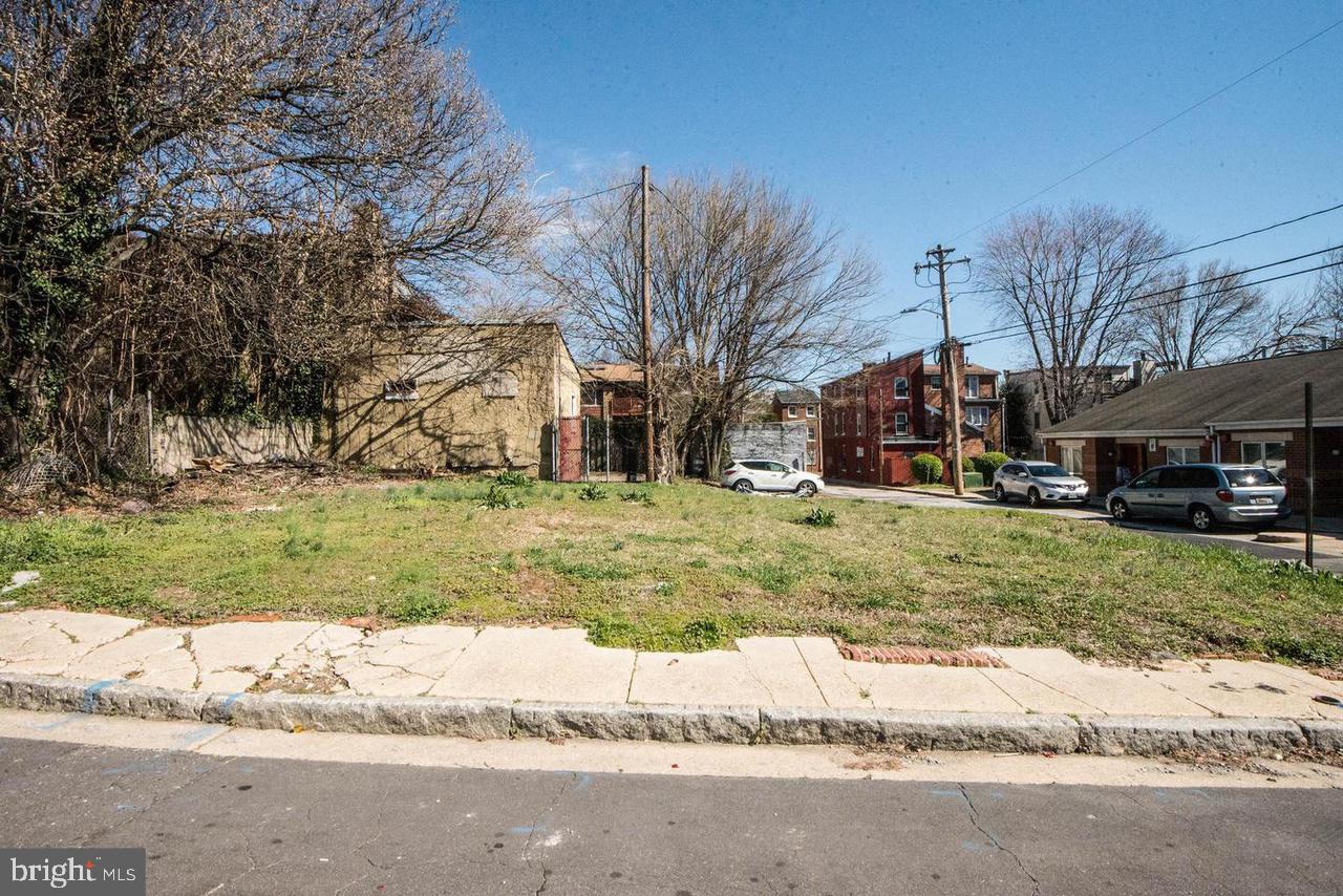 840 Lemmon Street Baltimore, MD 21201 - Photo 2 of 6 a view of outdoor space yard and tree