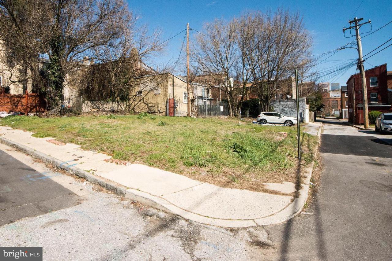 840 Lemmon Street Baltimore, MD 21201 - Photo 4 of 6 a view of outdoor space yard and tree