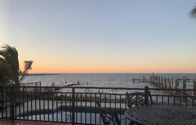 a view of city with ocean