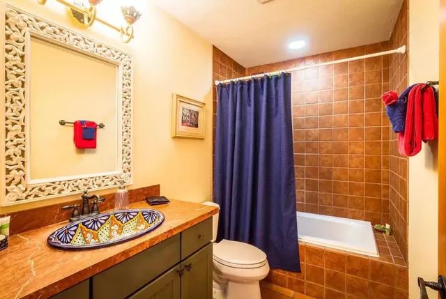 a bathroom with a sink a toilet and shower curtain