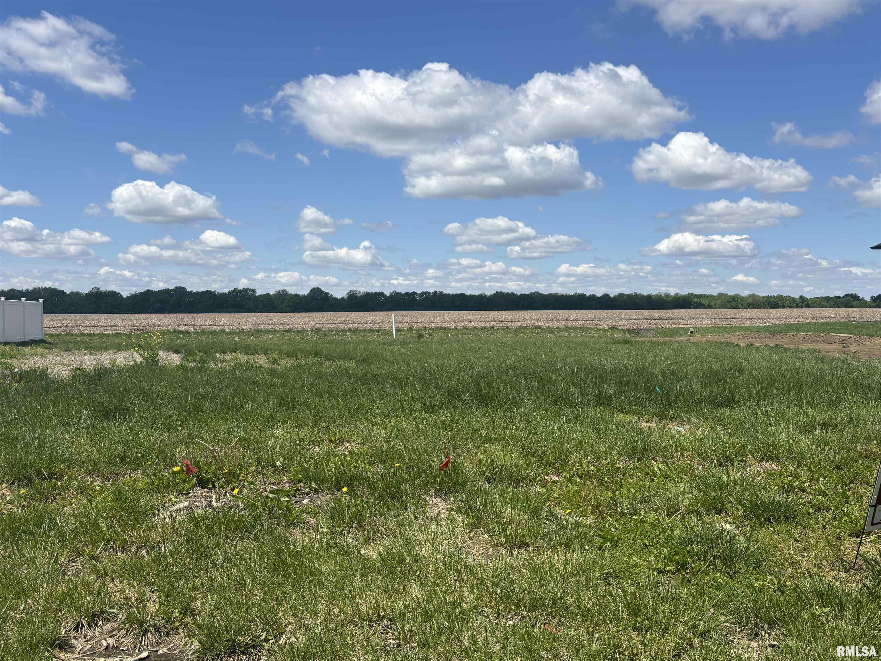 729 Nine Rock Road Sherman, IL 62684 - Photo 2 of 2 Gallery Image 2