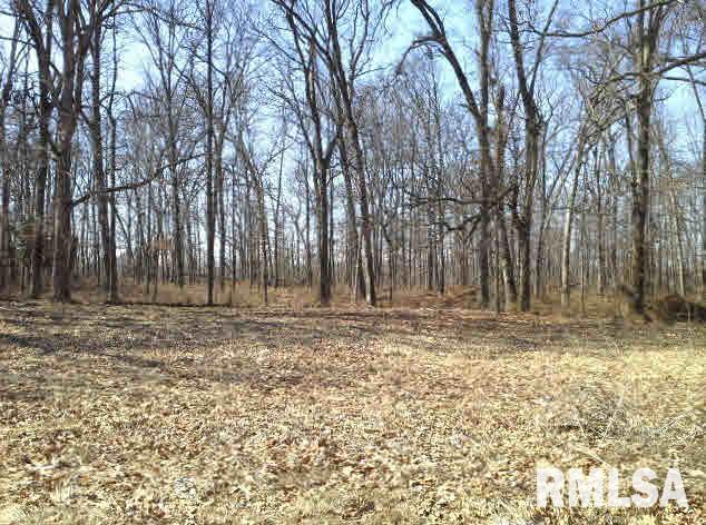 22374 Fancy Farm Road Thompsonville, IL 62890 - Photo 8 of 25