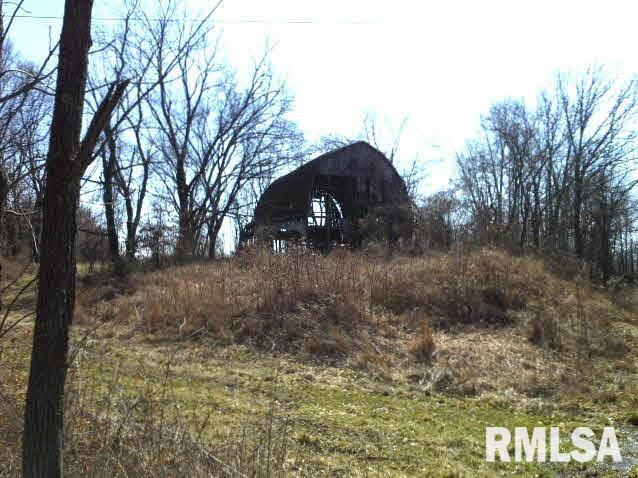 22374 Fancy Farm Road Thompsonville, IL 62890 - Photo 9 of 25