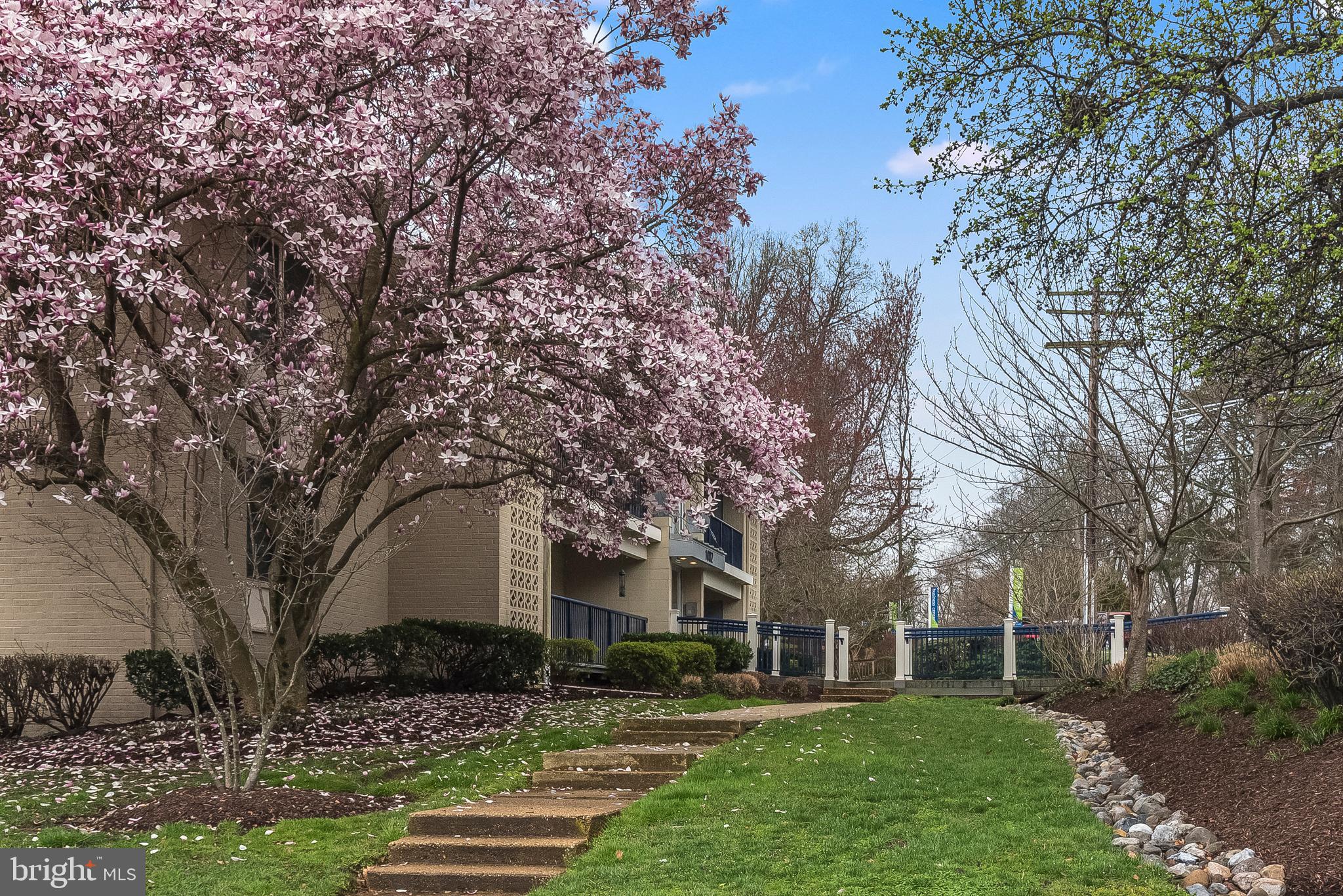 1002 Primrose Road, Unit 203 Annapolis, MD 21403 - Photo 1 of 46 View from side