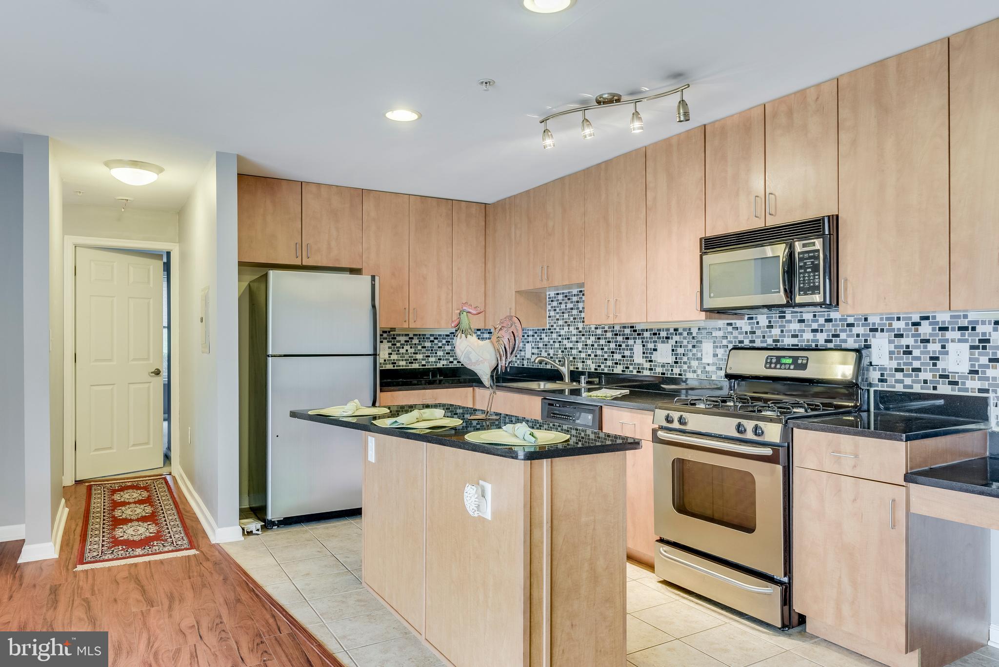 1002 Primrose Road, Unit 203 Annapolis, MD 21403 - Photo 16 of 46 Classy Kitchen with Breakfast Bar