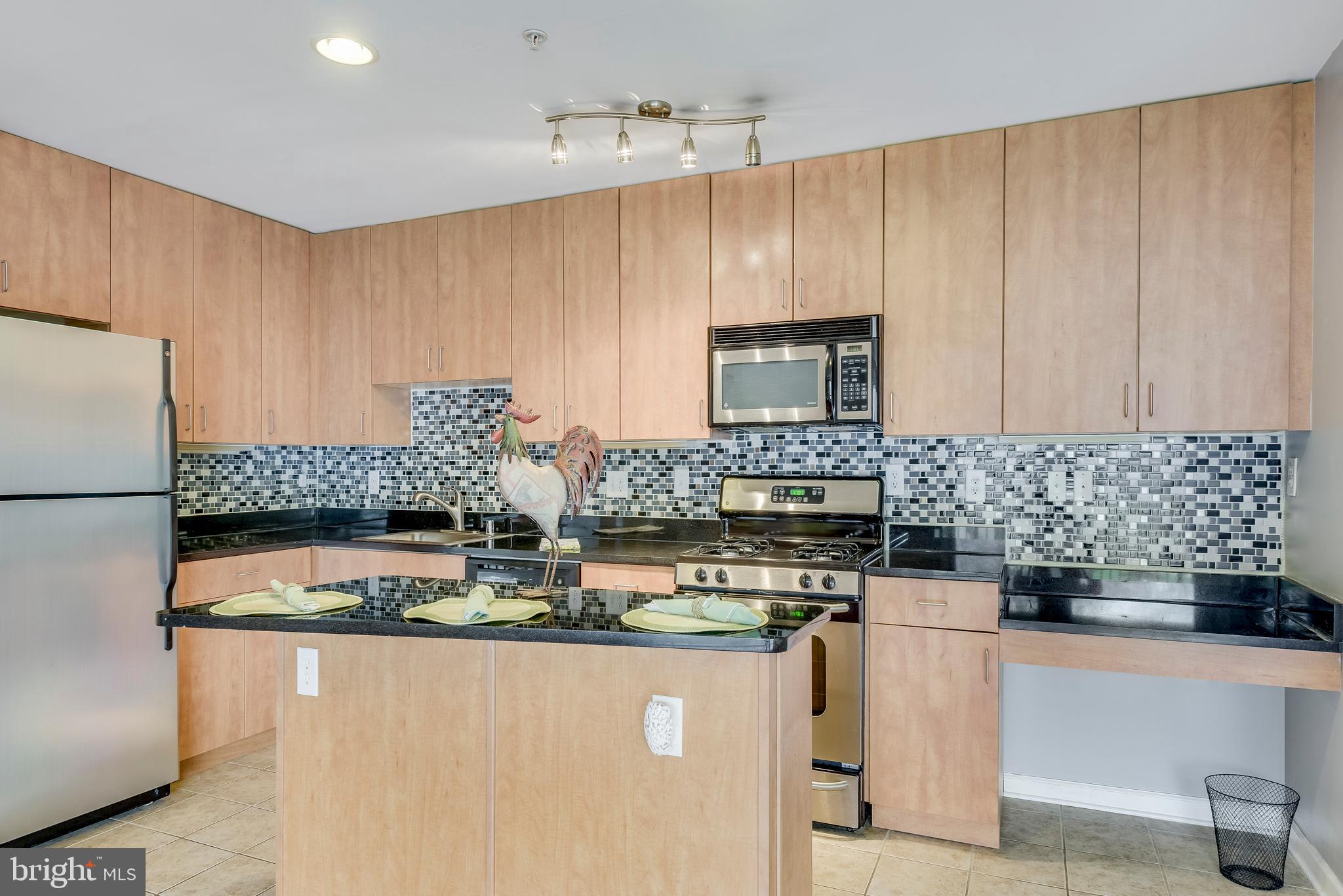 1002 Primrose Road, Unit 203 Annapolis, MD 21403 - Photo 19 of 46 View of Kitchen