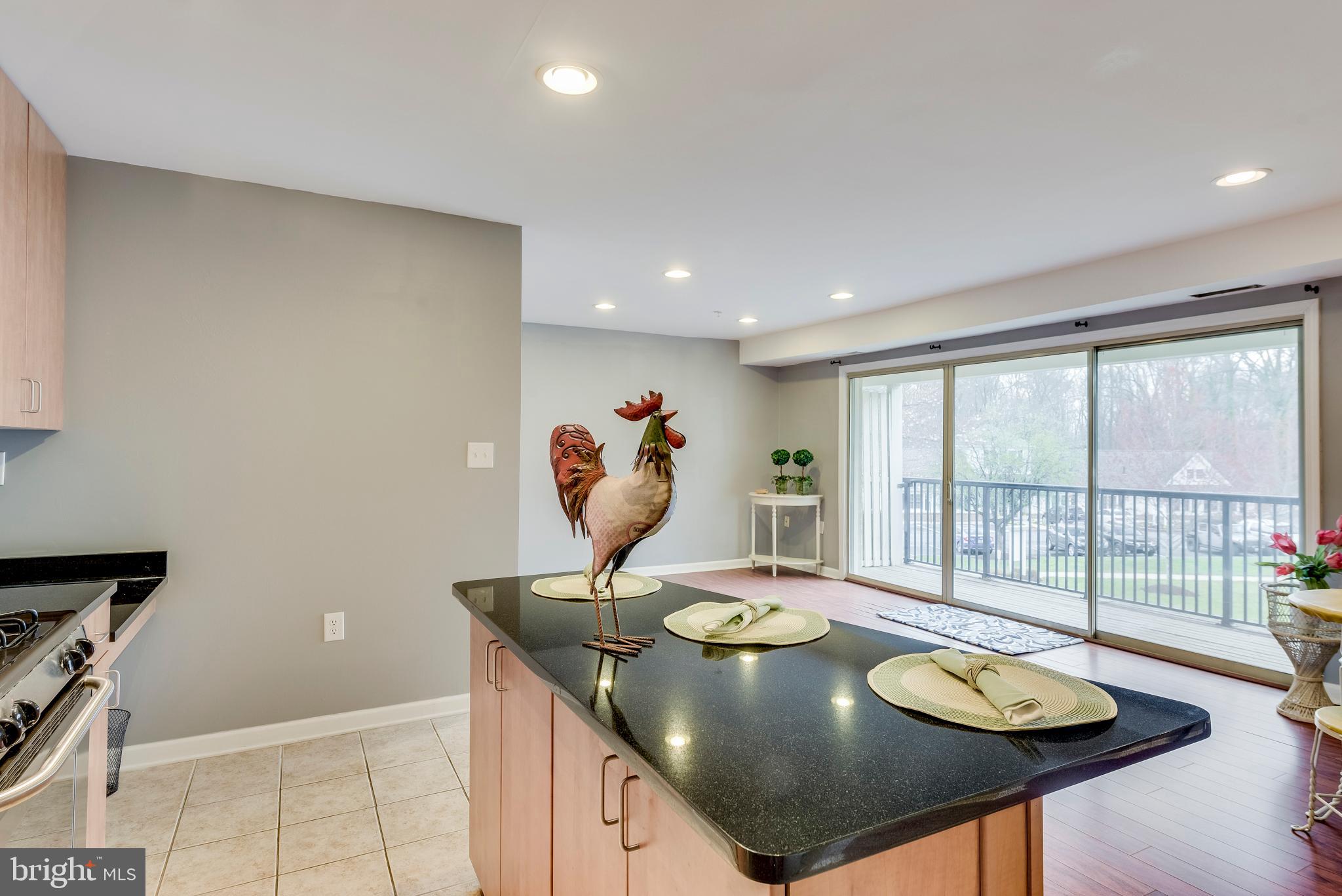1002 Primrose Road, Unit 203 Annapolis, MD 21403 - Photo 27 of 46 Kitchen