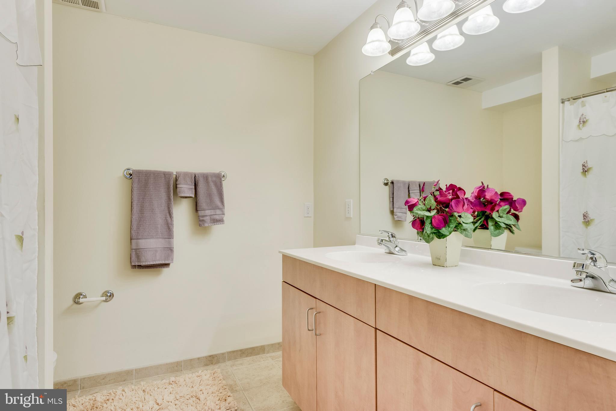 1002 Primrose Road, Unit 203 Annapolis, MD 21403 - Photo 34 of 46 Dual Vanities in Master Bath
