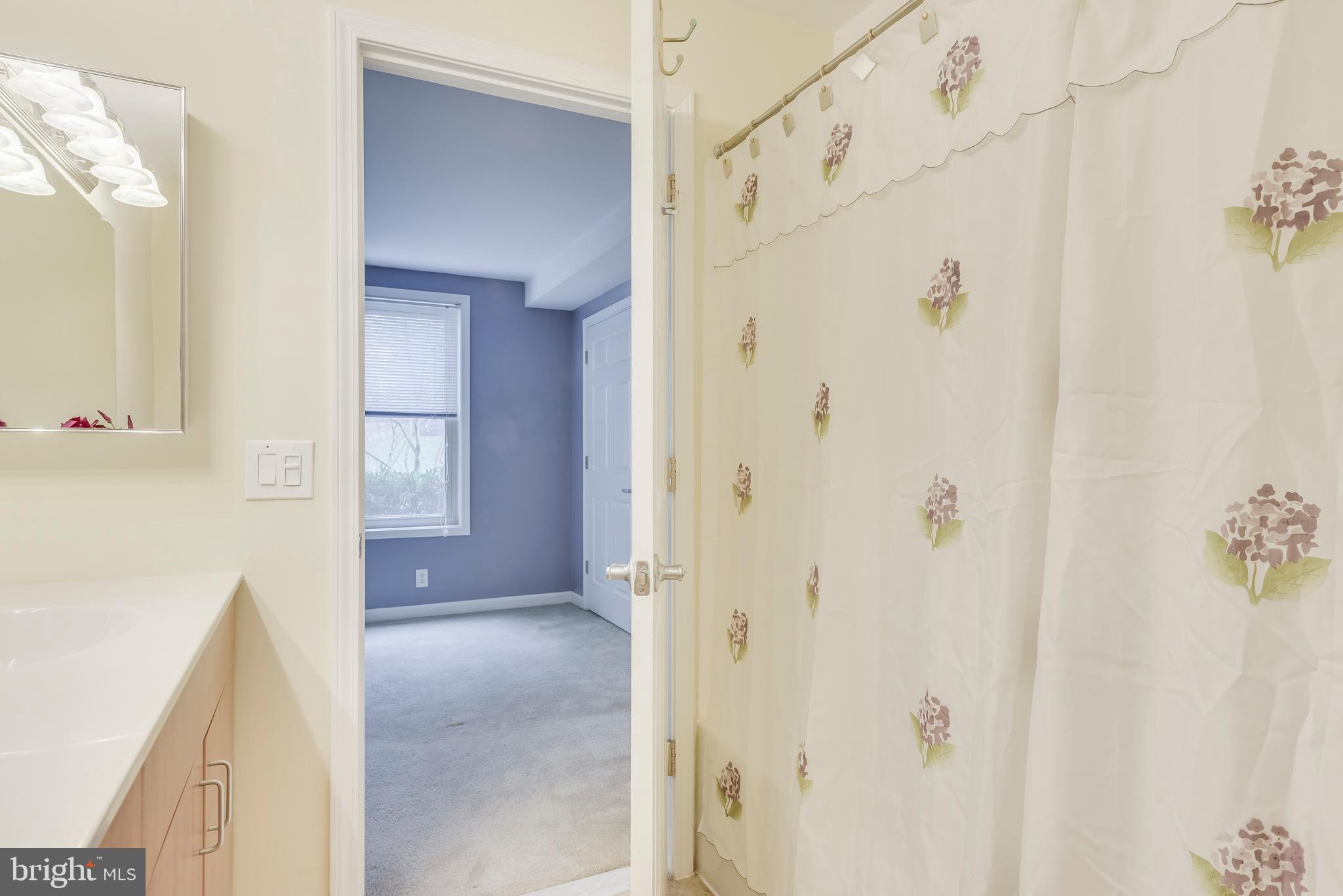 1002 Primrose Road, Unit 203 Annapolis, MD 21403 - Photo 35 of 46 Large Master Bath