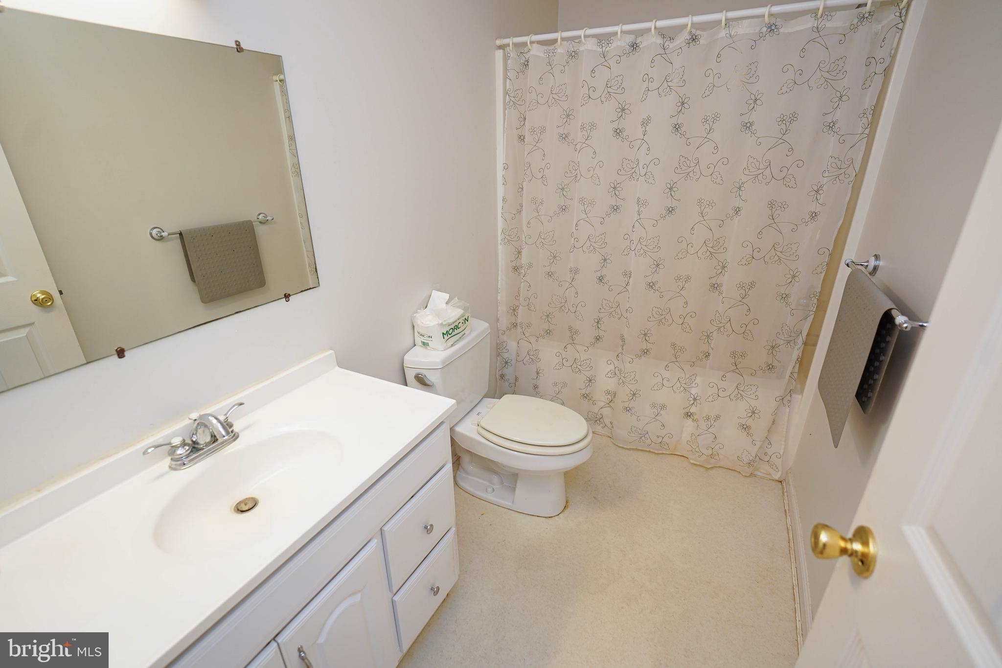 23290 Custom House Road Deal Island, MD 21821 - Photo 33 of 64 a bathroom with a sink a toilet and a mirror