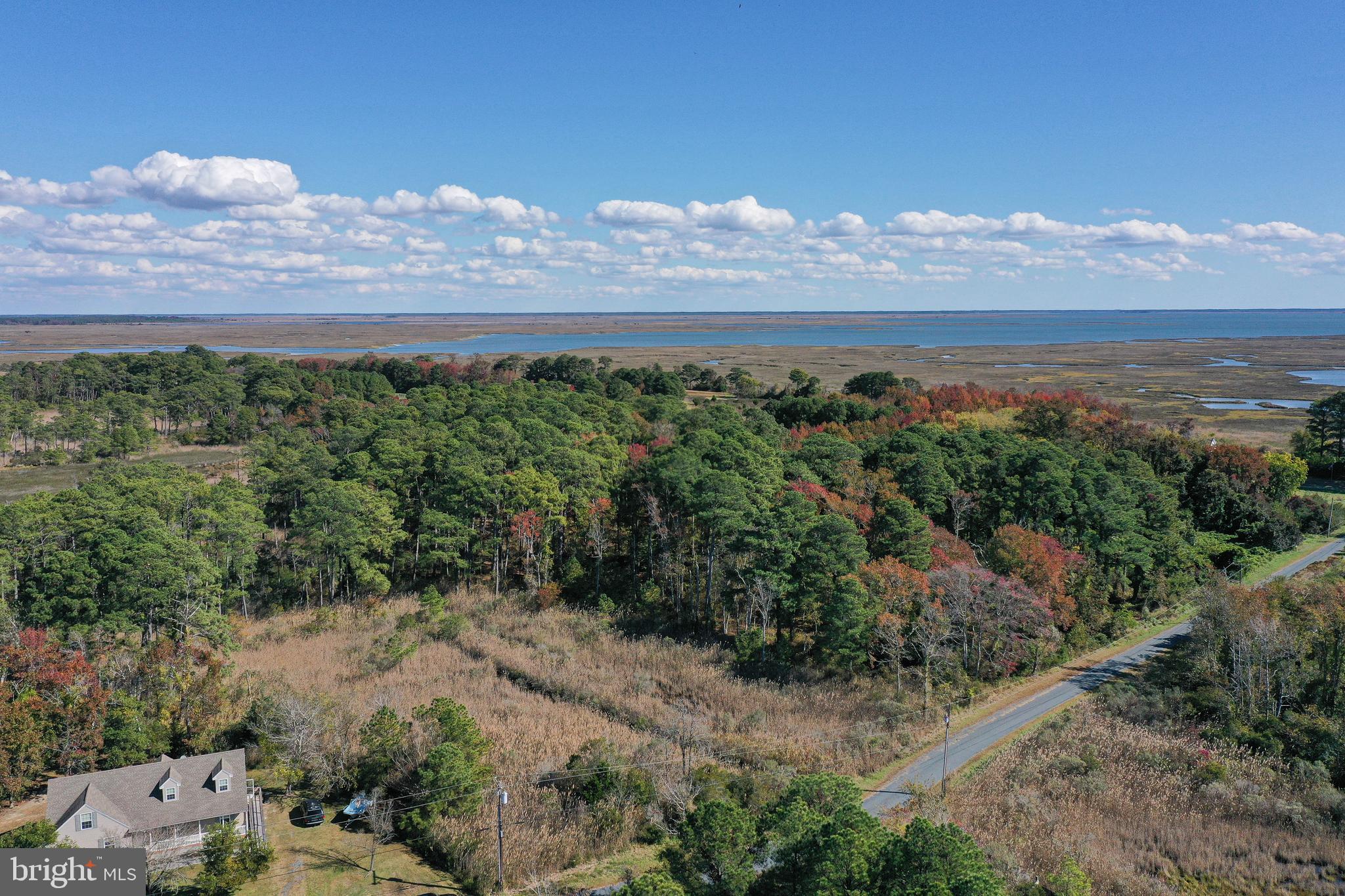 23290 Custom House Road Deal Island, MD 21821 - Photo 60 of 64