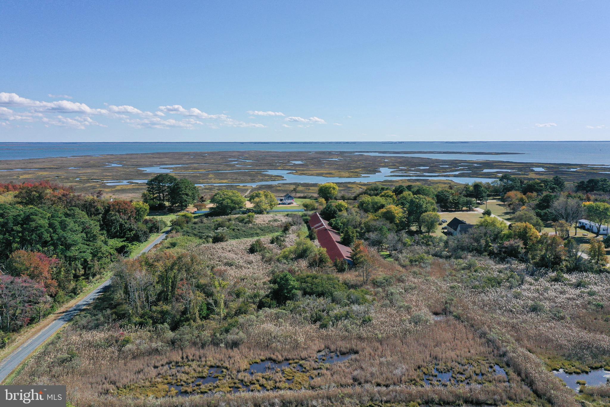 23290 Custom House Road Deal Island, MD 21821 - Photo 61 of 64 a view of a big yard with lots of green space