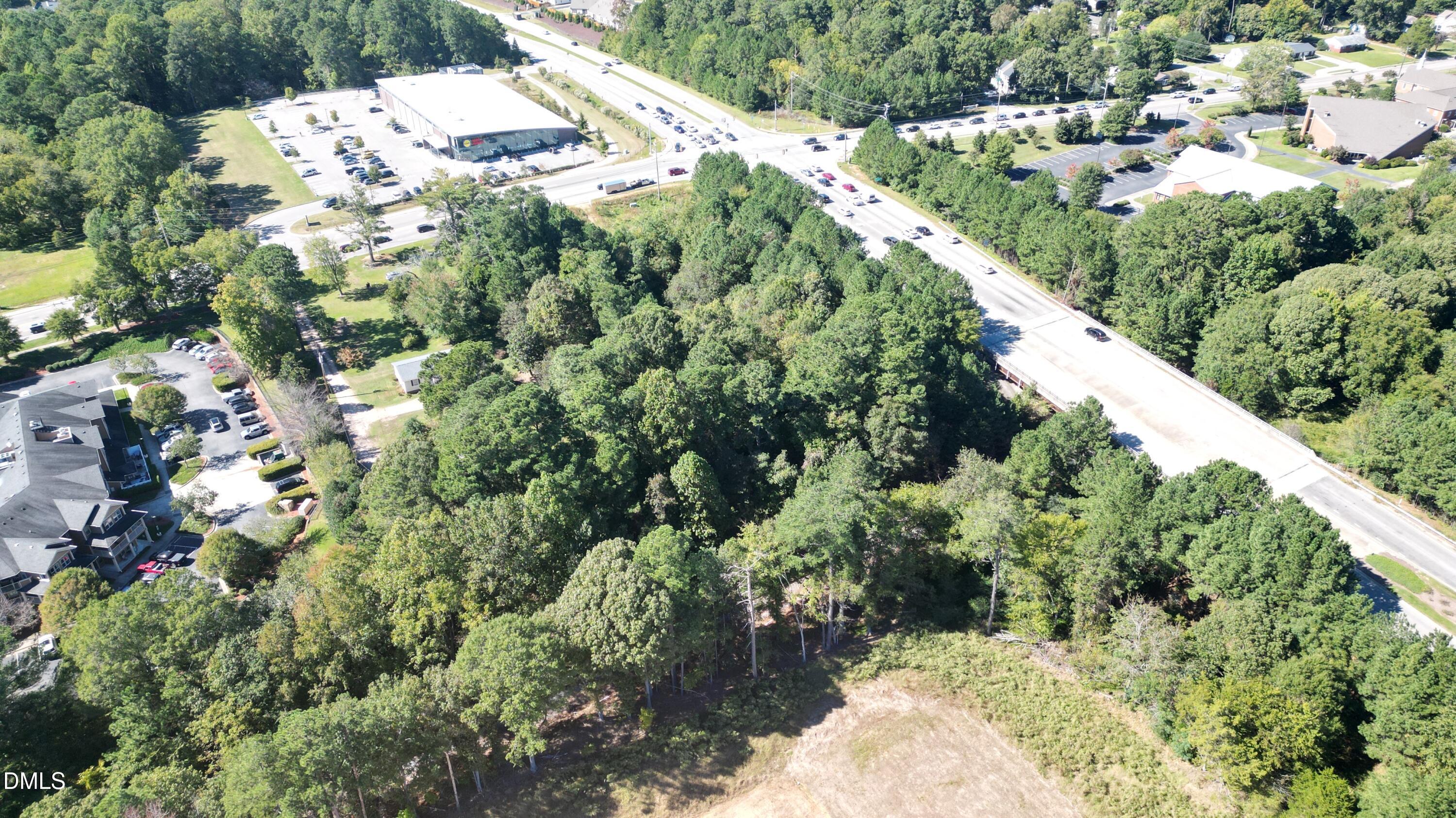 0 South Main Street Wake Forest, NC 27587 - Photo 6 of 11 a view of a garden with a tree