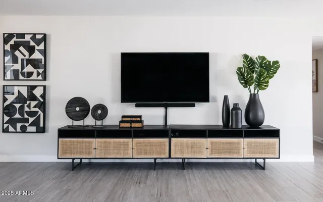 a living room with a flat screen tv and a potted plant
