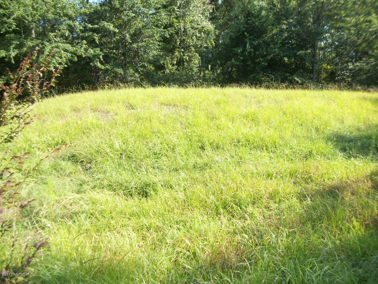 2486 Range Line Road Middleburg, FL 32068 - Photo 3 of 8 Drainfield