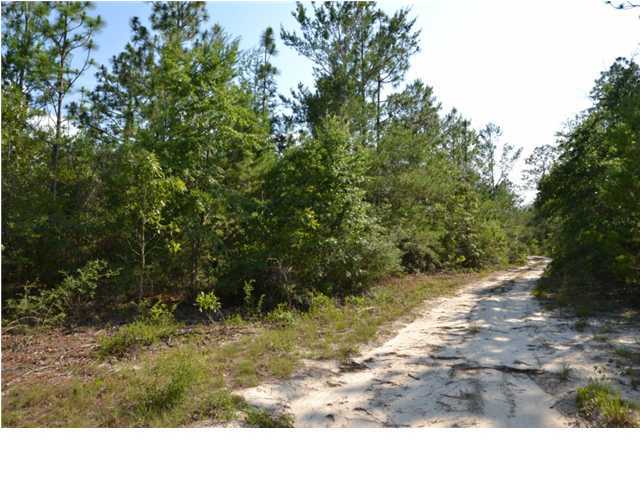 40-ac Mt Olive Road Crestview, FL 32539 - Photo 8 of 16 Additional Photo