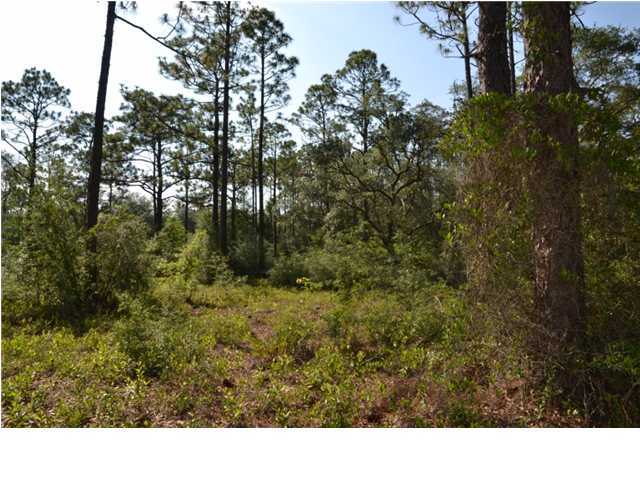 40-ac Mt Olive Road Crestview, FL 32539 - Photo 9 of 16 Additional Photo