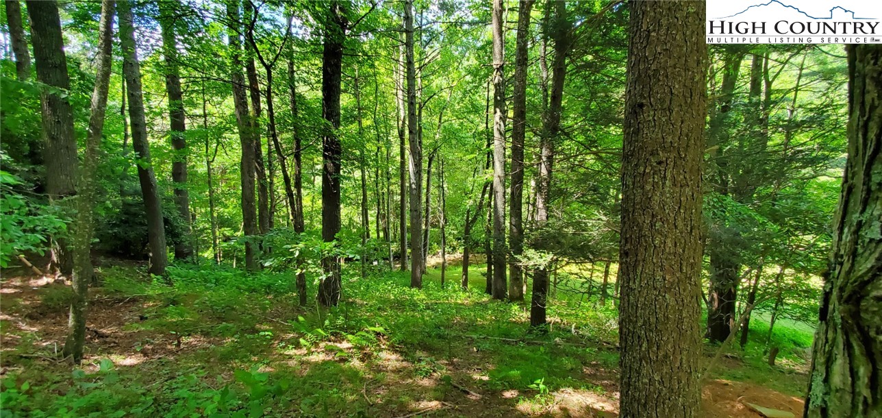 292-294 Wildcat Ridge Road Deep Gap, NC 28618 - Photo 41 of 49 a view of outdoor space and trees