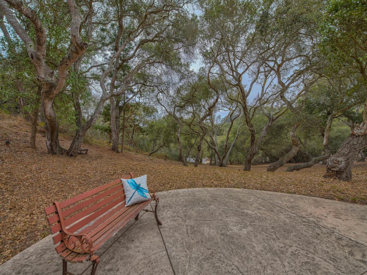 6640 Kim Ann Lane Salinas, CA 93907 - Photo 40 of 41 a bench is sitting in the middle of a yard