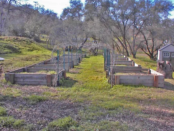 a view of a yard with large trees