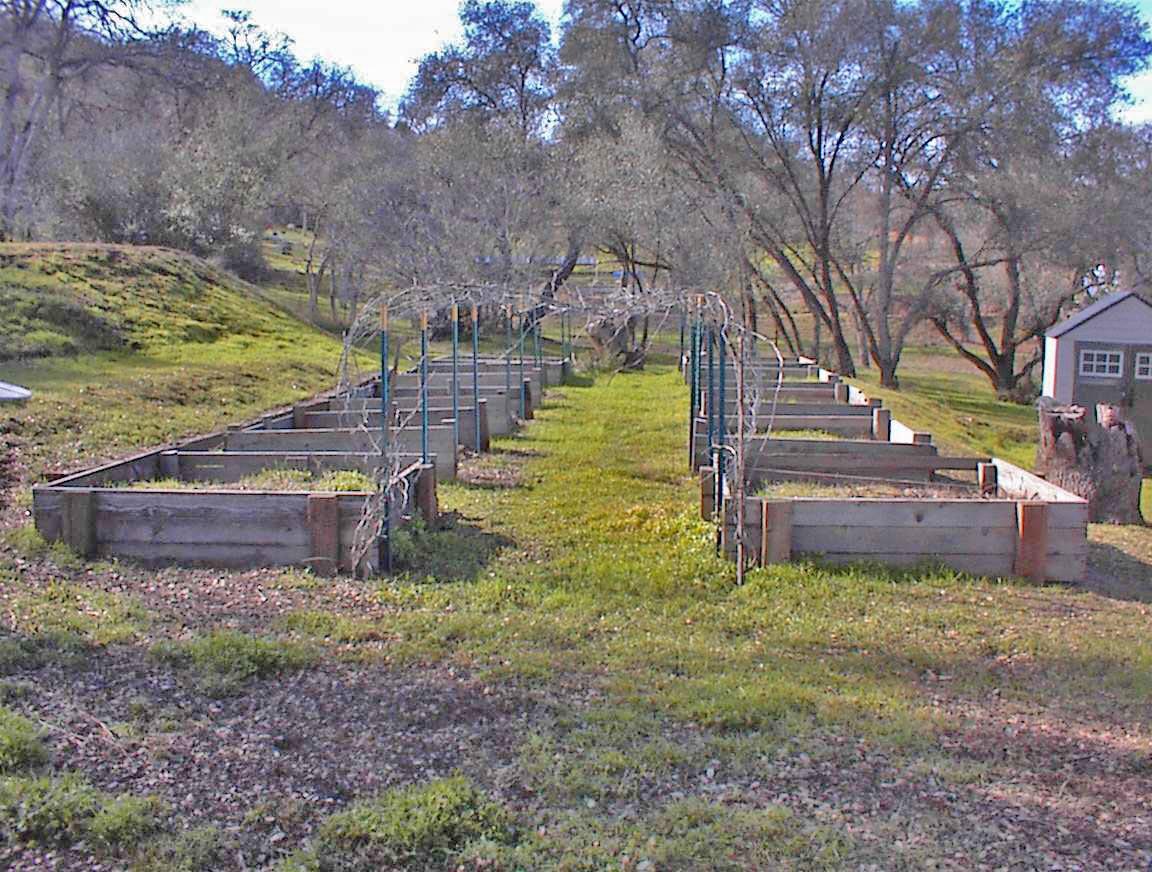 45483 Sand Creek Road Squaw Valley, CA 93675 - Photo 39 of 80