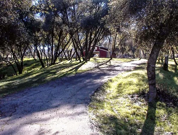 a view of backyard with green space