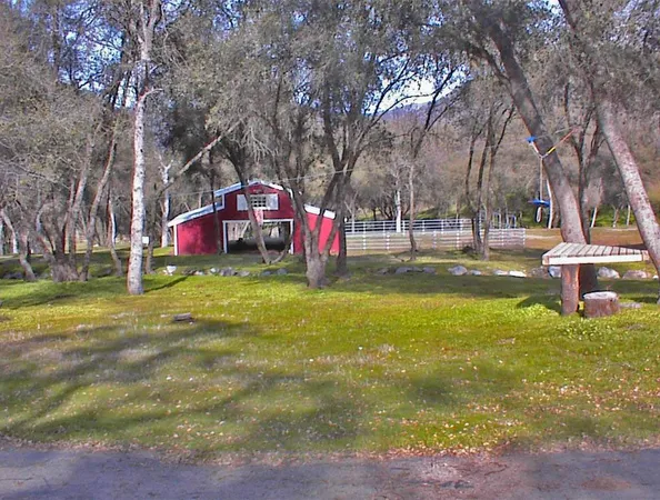 a view of yard with trees