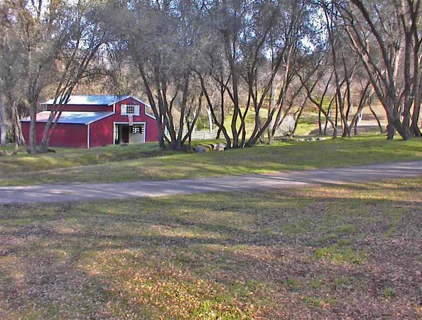 a view of swimming pool with a yard and trees