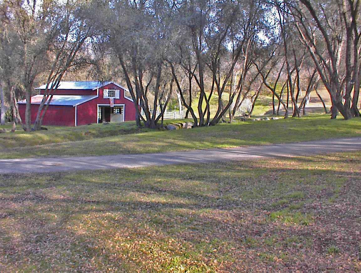 45483 Sand Creek Road Squaw Valley, CA 93675 - Photo 49 of 80 a front view of a house with a yard