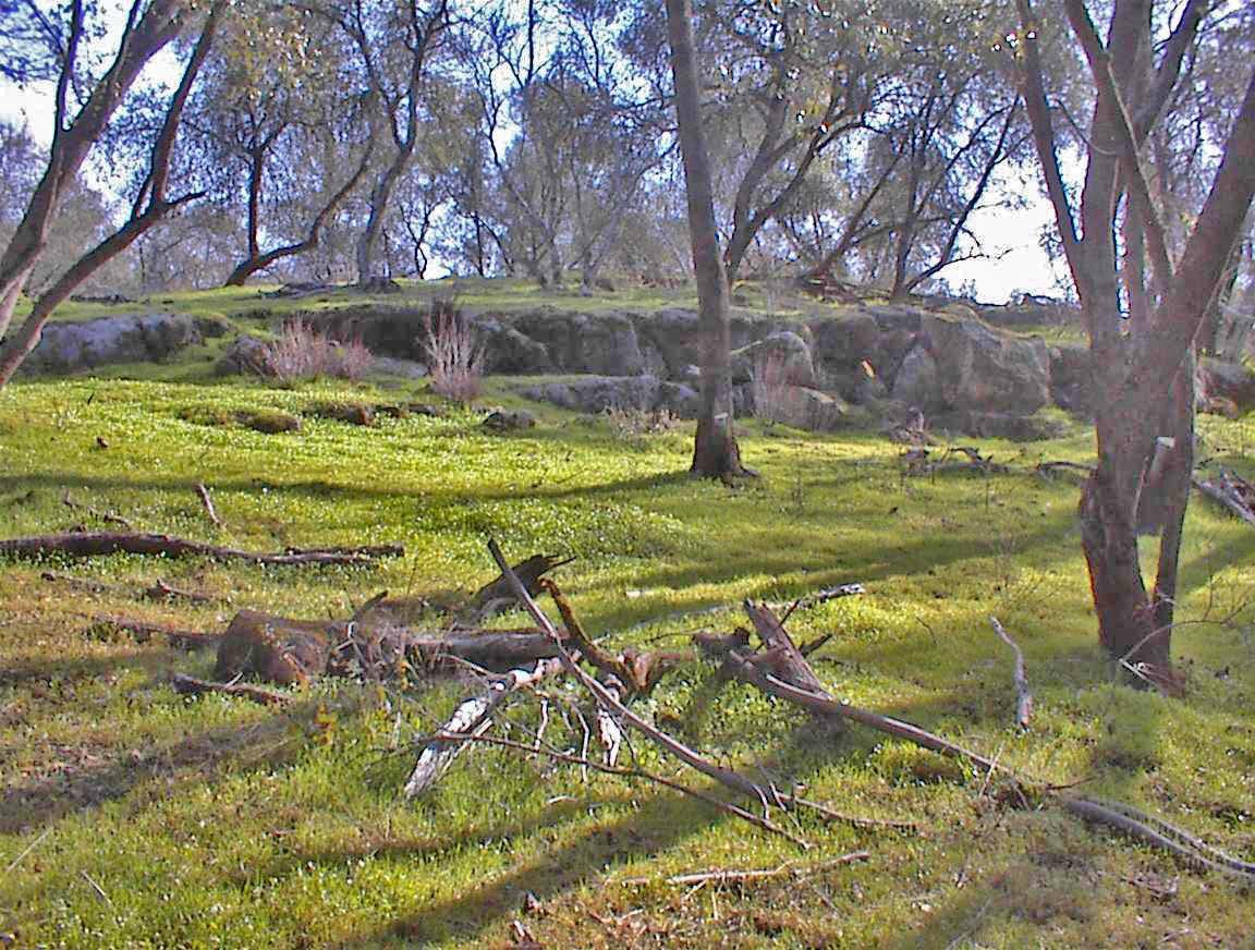 45483 Sand Creek Road Squaw Valley, CA 93675 - Photo 52 of 80