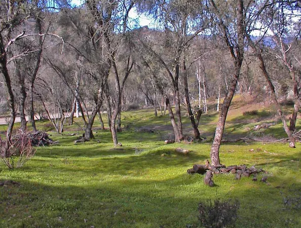 $1,270,000 | 45483 Sand Creek Road, Squaw Valley, CA 93675