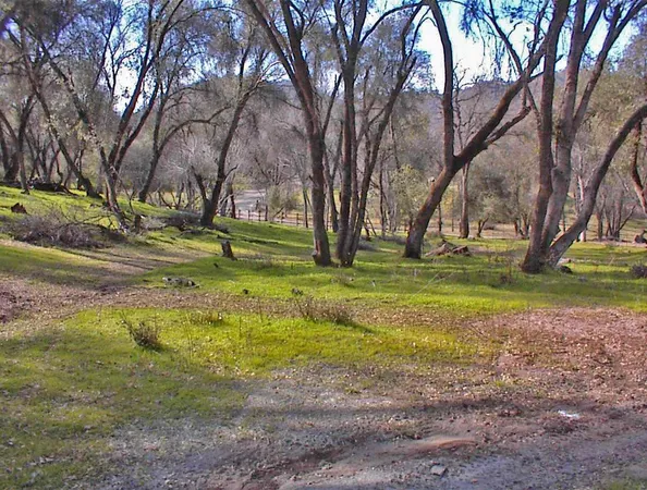 $1,270,000 | 45483 Sand Creek Road, Squaw Valley, CA 93675