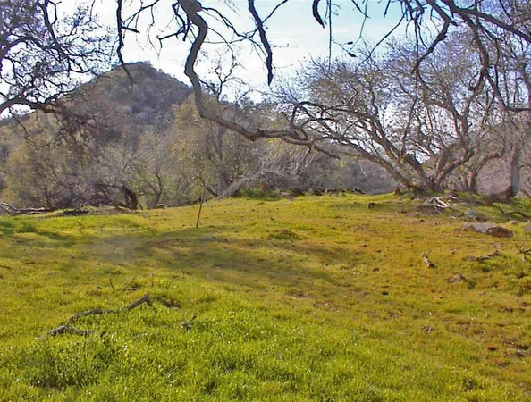 $1,270,000 | 45483 Sand Creek Road, Squaw Valley, CA 93675