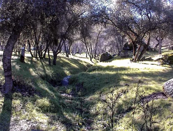 a view of a swimming pool with an outdoor space