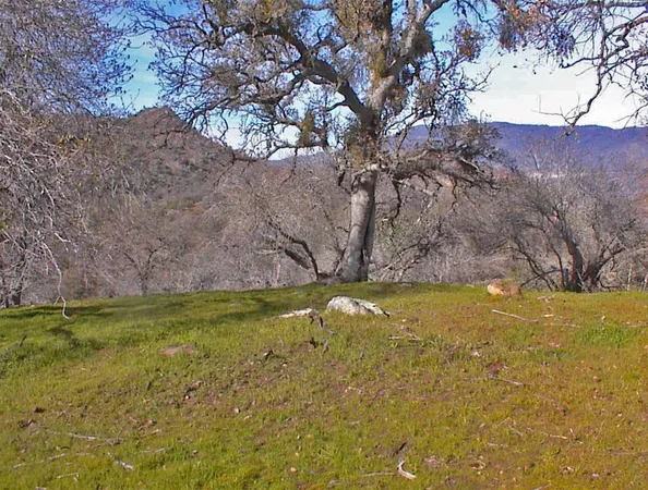$1,270,000 | 45483 Sand Creek Road, Squaw Valley, CA 93675
