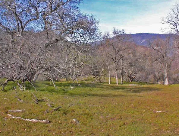 $1,270,000 | 45483 Sand Creek Road, Squaw Valley, CA 93675
