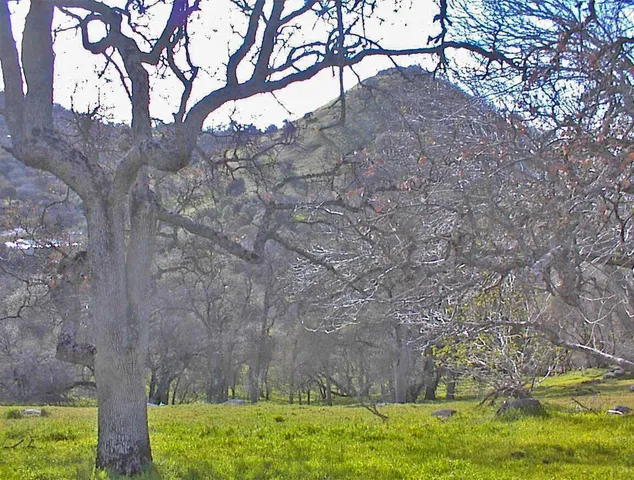 $1,270,000 | 45483 Sand Creek Road, Squaw Valley, CA 93675