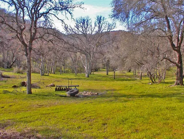 $1,270,000 | 45483 Sand Creek Road, Squaw Valley, CA 93675