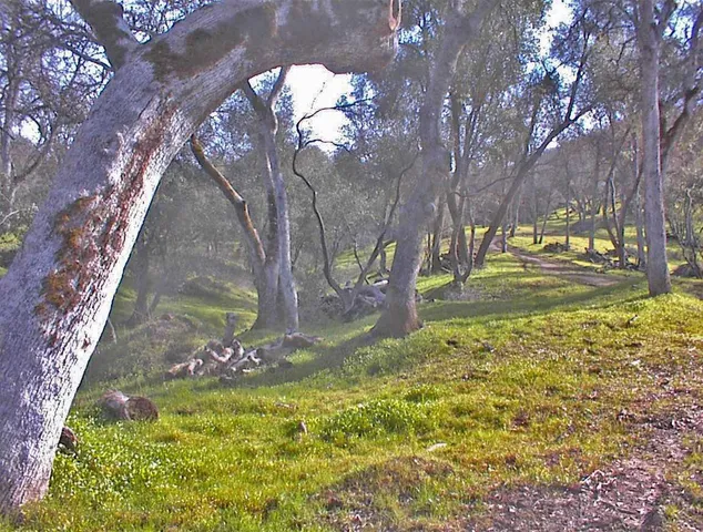 $1,270,000 | 45483 Sand Creek Road, Squaw Valley, CA 93675