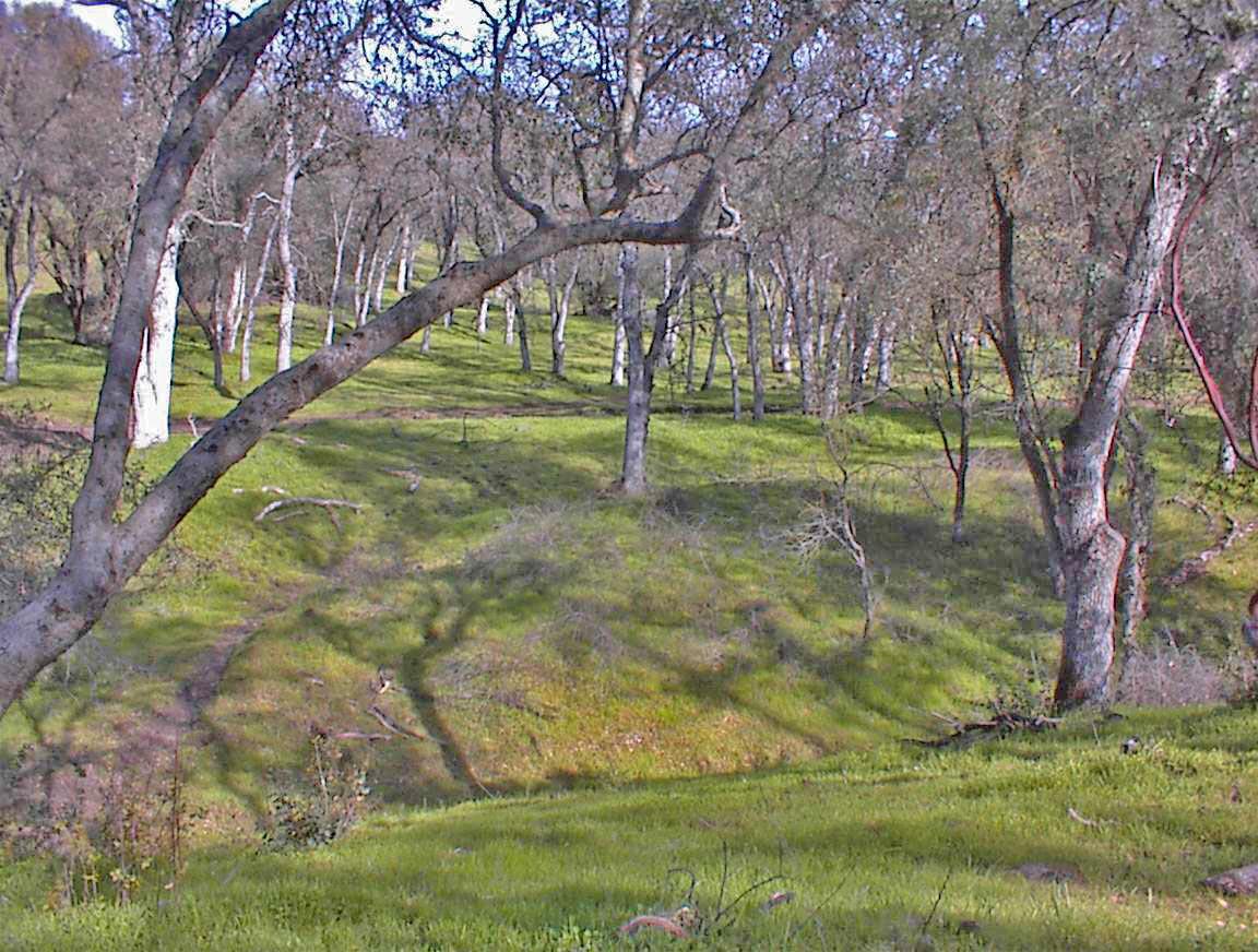 45483 Sand Creek Road Squaw Valley, CA 93675 - Photo 69 of 80