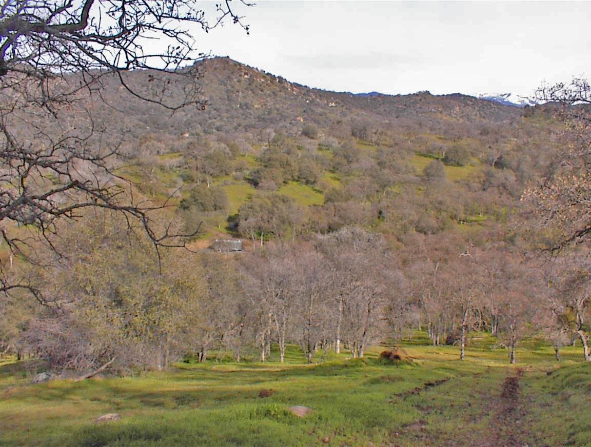 45483 Sand Creek Road Squaw Valley, CA 93675 - Photo 72 of 80 a view of grassy field with mountain view