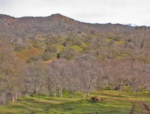 $1,270,000 | 45483 Sand Creek Road, Squaw Valley, CA 93675