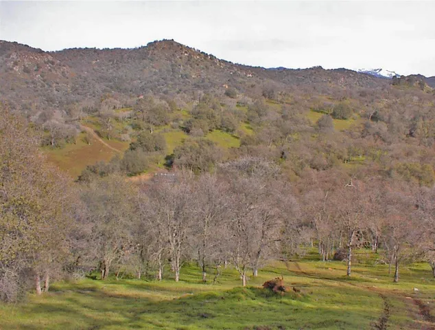 $1,270,000 | 45483 Sand Creek Road, Squaw Valley, CA 93675