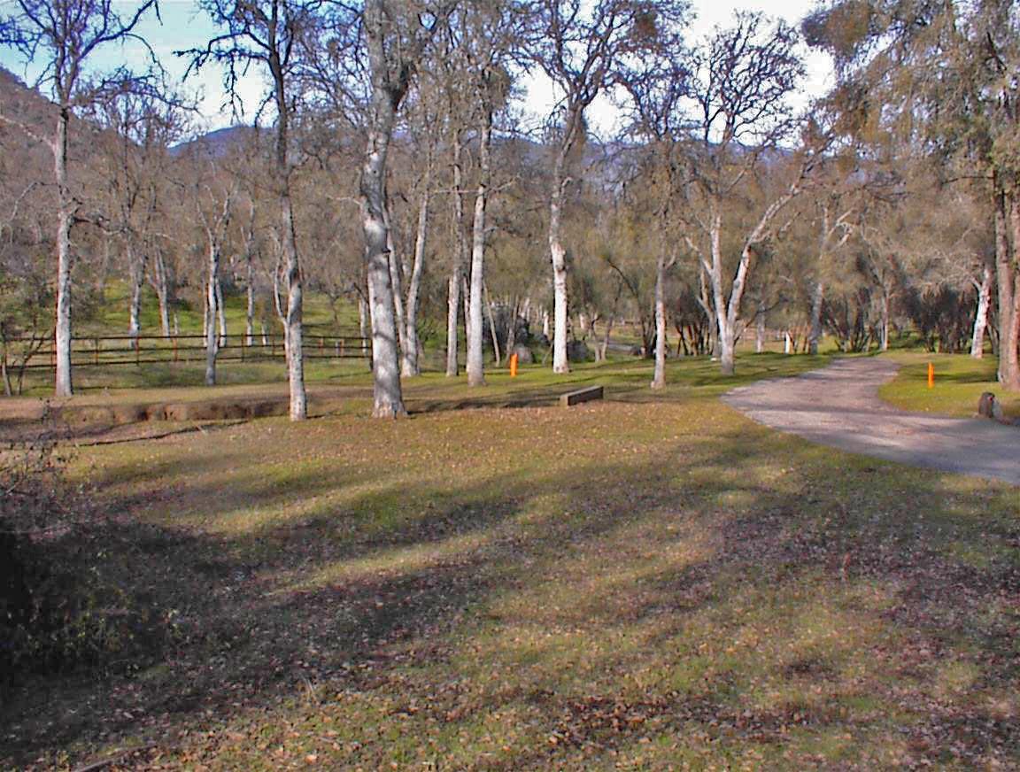 45483 Sand Creek Road Squaw Valley, CA 93675 - Photo 80 of 80 a view of a yard with basketball court